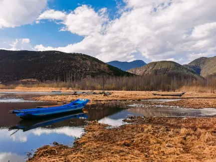 Winning Kaszinó Mobilalkalmazás